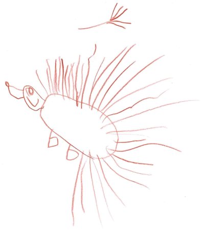Igel grinsend